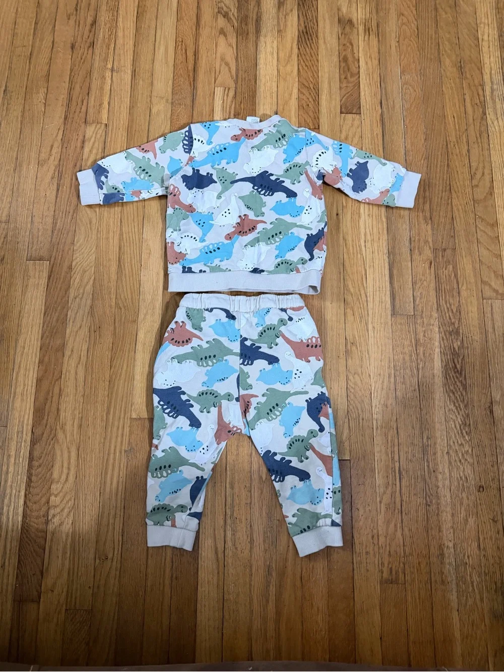 H&M 9M Dino Sweatsuit